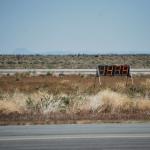 Mojave_0083 (April 10, 2011)